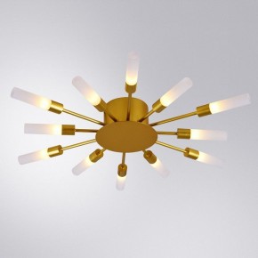 Потолочная люстра Arte Lamp Maple A1276PL-12GO в Набережных Челнах - naberezhnye-chelny.mebel24.online | фото 1
