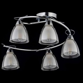 Потолочная люстра Arti Lampadari Paola, Tavenna Nickel Paola E 1.1.5 N в Набережных Челнах - naberezhnye-chelny.mebel24.online | фото 2