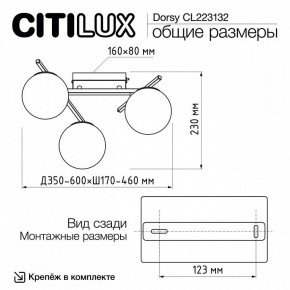 Потолочная люстра Citilux Dorsy CL223132 в Набережных Челнах - naberezhnye-chelny.mebel24.online | фото 12