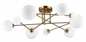 Потолочная люстра EVOLUCE Fantini SLE2211-302-09 в Набережных Челнах - naberezhnye-chelny.mebel24.online | фото