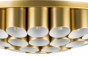 Потолочная люстра Lightstar Siena 720402 в Набережных Челнах - naberezhnye-chelny.mebel24.online | фото 3