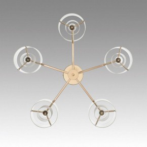 Потолочная люстра Lumion Verdi 6587/5C в Набережных Челнах - naberezhnye-chelny.mebel24.online | фото 4