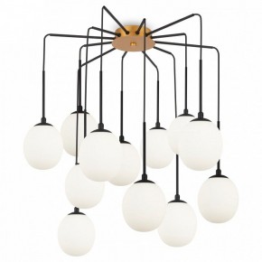 Потолочная люстра Maytoni Branch MOD176PL-12G в Набережных Челнах - naberezhnye-chelny.mebel24.online | фото 3
