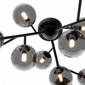 Потолочная люстра Maytoni Dallas MOD545CL-12B в Набережных Челнах - naberezhnye-chelny.mebel24.online | фото 3