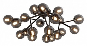 Потолочная люстра Maytoni Dallas MOD545CL-20B в Набережных Челнах - naberezhnye-chelny.mebel24.online | фото 2