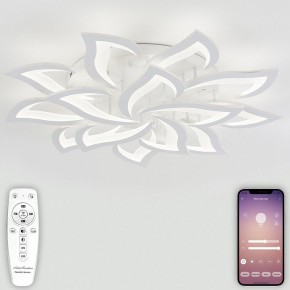 Потолочная люстра Natali Kovaltseva Olimp LED LAMPS 81335 в Набережных Челнах - naberezhnye-chelny.mebel24.online | фото 4