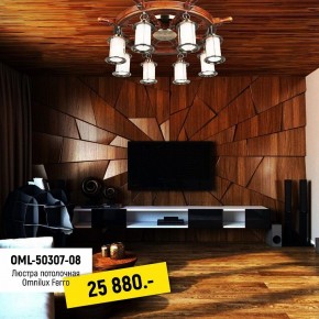 Потолочная люстра Omnilux Ferro OML-50307-08 в Набережных Челнах - naberezhnye-chelny.mebel24.online | фото 2