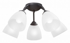 Потолочная люстра Vitaluce V3184 V3737-2/5PL в Набережных Челнах - naberezhnye-chelny.mebel24.online | фото