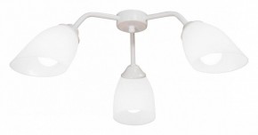 Потолочная люстра Vitaluce V31950 V31950/3PL в Набережных Челнах - naberezhnye-chelny.mebel24.online | фото