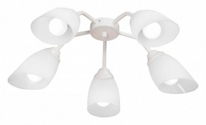 Потолочная люстра Vitaluce V31950 V31950/5PL в Набережных Челнах - naberezhnye-chelny.mebel24.online | фото