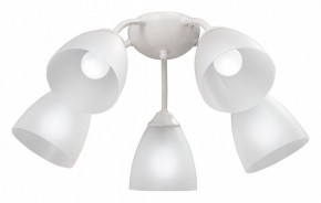 Потолочная люстра Vitaluce V3737 V3737-0/5PL в Набережных Челнах - naberezhnye-chelny.mebel24.online | фото
