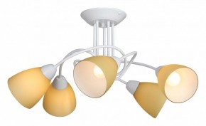 Потолочная люстра Vitaluce V3955 V3955-0/5PL в Набережных Челнах - naberezhnye-chelny.mebel24.online | фото 2