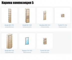 Прихожая Карина (модульная) в Набережных Челнах - naberezhnye-chelny.mebel24.online | фото 2