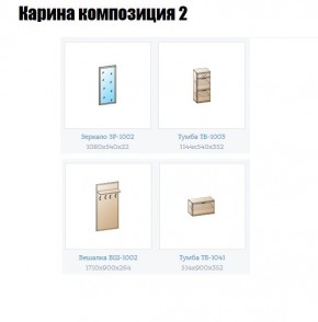 Прихожая Карина (модульная) в Набережных Челнах - naberezhnye-chelny.mebel24.online | фото 6