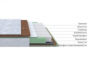 PROxSON Матрас Green Duo M/F (Tricotage Dream) 120x200 в Набережных Челнах - naberezhnye-chelny.mebel24.online | фото 3
