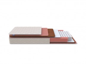 PROxSON Матрас Standart Plus M Roll (Ткань Жаккард) 160x195 в Набережных Челнах - naberezhnye-chelny.mebel24.online | фото 1