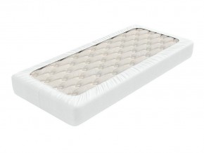 PROxSON Защитный чехол Aqua Save Light S (Ткань влагостойкая Tencel Jersey) 120x200 в Набережных Челнах - naberezhnye-chelny.mebel24.online | фото 2