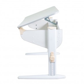 Растущая парта Дэми Parta 5/100 (Сут 46) в Набережных Челнах - naberezhnye-chelny.mebel24.online | фото 2