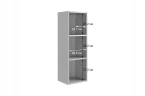 РИЧ Шкаф навесной в Набережных Челнах - naberezhnye-chelny.mebel24.online | фото 3
