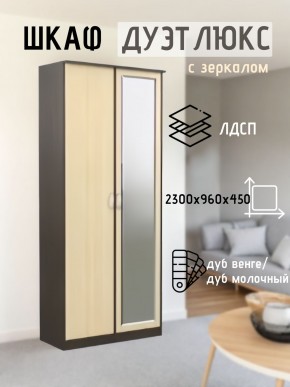 Шкаф 2-х створчатый Дуэт Люкс с зеркалом в Набережных Челнах - naberezhnye-chelny.mebel24.online | фото 1
