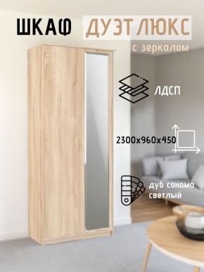 Шкаф 2-х створчатый Дуэт Люкс с зеркалом в Набережных Челнах - naberezhnye-chelny.mebel24.online | фото 7
