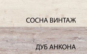 Шкаф 2DG2S, MONAKO, цвет Сосна винтаж/дуб анкона в Набережных Челнах - naberezhnye-chelny.mebel24.online | фото