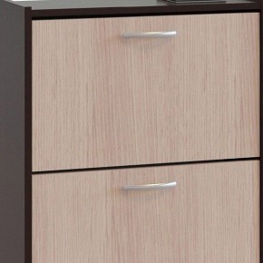 Шкаф для обуви ТО-24 в Набережных Челнах - naberezhnye-chelny.mebel24.online | фото 4
