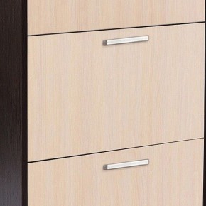 Шкаф для обуви УК-4 в Набережных Челнах - naberezhnye-chelny.mebel24.online | фото 2