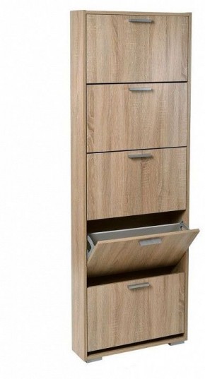 Шкаф для обуви УК-5 в Набережных Челнах - naberezhnye-chelny.mebel24.online | фото
