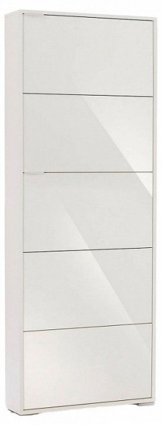 Шкаф для обуви Viva-5S в Набережных Челнах - naberezhnye-chelny.mebel24.online | фото