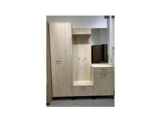 Шкаф для одежды 2-х дверный София 1 в Набережных Челнах - naberezhnye-chelny.mebel24.online | фото 6