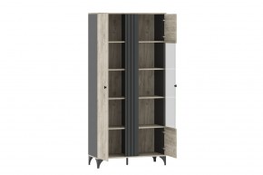 Шкаф комбинированный НМ 040.10 "Отис" в Набережных Челнах - naberezhnye-chelny.mebel24.online | фото 2
