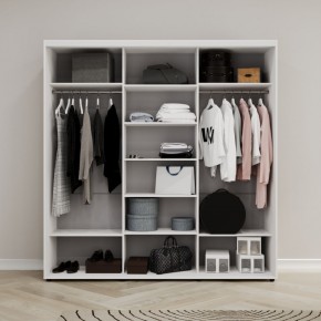 Шкаф-купе Акцент-Лайт ДЗ 2400-600 в Набережных Челнах - naberezhnye-chelny.mebel24.online | фото 2