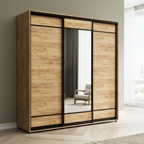 Шкаф-купе Акцент-Лайт ДЗ 2400-600 в Набережных Челнах - naberezhnye-chelny.mebel24.online | фото 4