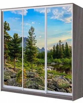 Шкаф-купе ХИТ 22-4-20/2-777 ПРИРОДА в Набережных Челнах - naberezhnye-chelny.mebel24.online | фото
