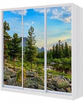 Шкаф-купе ХИТ 22-4-20-777 ПРИРОДА в Набережных Челнах - naberezhnye-chelny.mebel24.online | фото