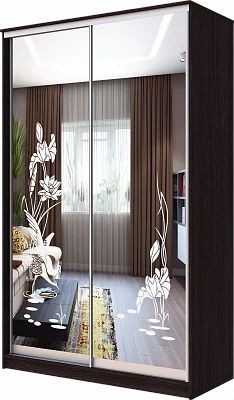 Шкаф-купе ХИТ 23-12-66 ЦАПЛИ в Набережных Челнах - naberezhnye-chelny.mebel24.online | фото