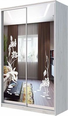 Шкаф-купе ХИТ 24-14-66 ЦАПЛИ в Набережных Челнах - naberezhnye-chelny.mebel24.online | фото