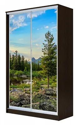 Шкаф-купе ХИТ 24-4-12-77 ПРИРОДА в Набережных Челнах - naberezhnye-chelny.mebel24.online | фото