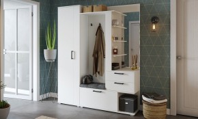 Шкаф платяной Эрика в Набережных Челнах - naberezhnye-chelny.mebel24.online | фото 3