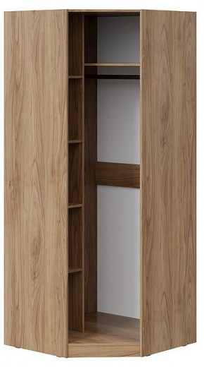 Шкаф платяной Глосс СМ-319.07.312 в Набережных Челнах - naberezhnye-chelny.mebel24.online | фото 2