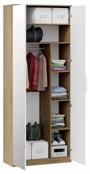 Шкаф платяной Хилтон Исп. 2.1 в Набережных Челнах - naberezhnye-chelny.mebel24.online | фото 4