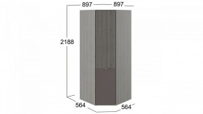 Шкаф платяной Либерти СМ-297.07.033 в Набережных Челнах - naberezhnye-chelny.mebel24.online | фото 3