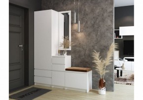 Шкаф платяной Мадера в Набережных Челнах - naberezhnye-chelny.mebel24.online | фото 4