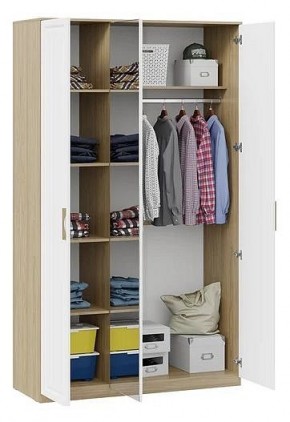Шкаф платяной Сэнди в Набережных Челнах - naberezhnye-chelny.mebel24.online | фото 3