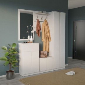 Шкаф платяной ШО-4 в Набережных Челнах - naberezhnye-chelny.mebel24.online | фото 6