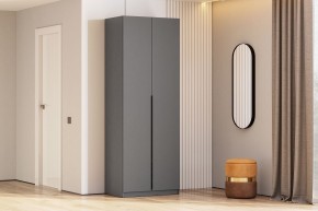 Шкаф ШК-5 + 2 полки (800) Графит серый в Набережных Челнах - naberezhnye-chelny.mebel24.online | фото 2