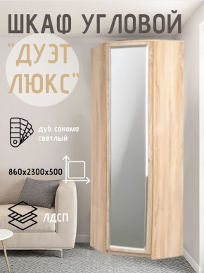Шкаф угловой Дуэт Люкс с зеркалом в Набережных Челнах - naberezhnye-chelny.mebel24.online | фото 1