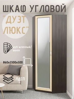 Шкаф угловой Дуэт Люкс с зеркалом в Набережных Челнах - naberezhnye-chelny.mebel24.online | фото 5
