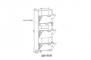 ШО-53 В тумба для обуви в Набережных Челнах - naberezhnye-chelny.mebel24.online | фото 3
